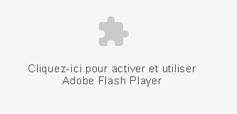 Installer Flash Player Installer Flash Player
