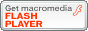 Download Flash Player for FREE