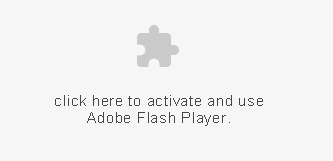 Install Flash Player